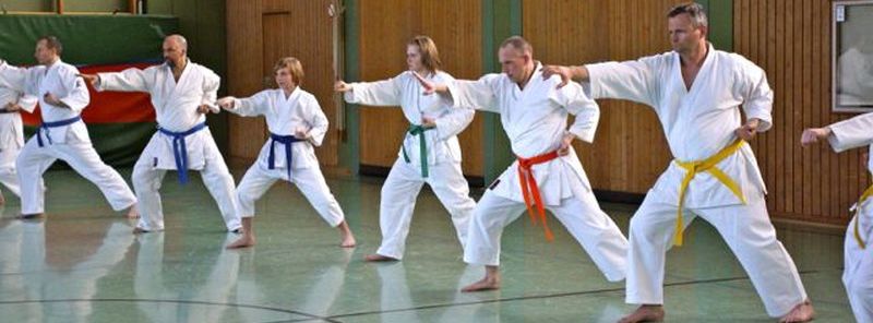 Couverture du club WADO KARATE CLUB ST RAPHAEL