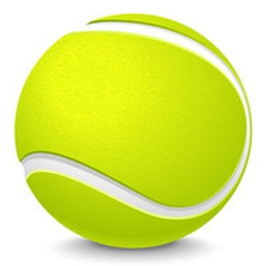 Logo du club Tennis Club Tourvain