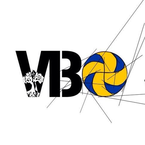 Logo du club VOLLEY-BALL OLLIOULAIS