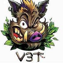 Logo du club Verdon 3 Terroirs (V3T)