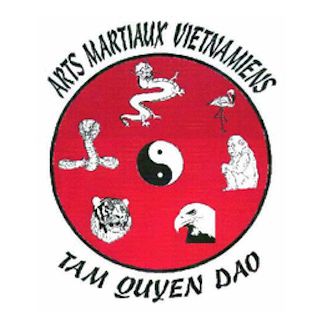 Logo du club TEMPLE DES ARTS MARTIAUX VIETNAMIENS