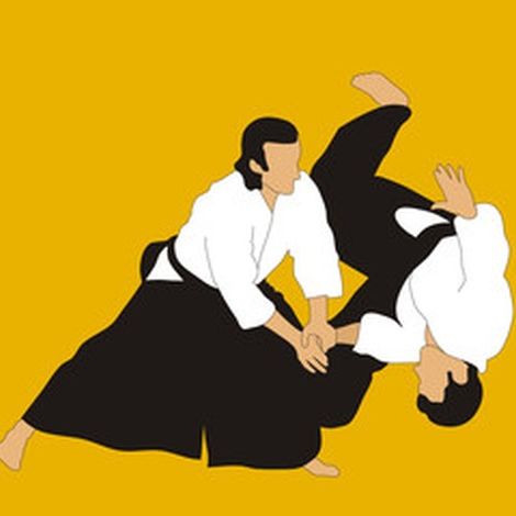 Logo du club AIKIDO CLUB MOTTOIS