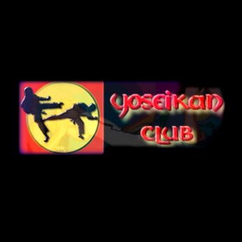 Logo du club Yoseikan Academy